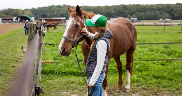 Journées involvere : 232 collaboratrices et collaborateurs de la Vaudoise engagés sur le terrain [image cover]